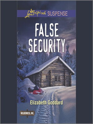 cover image of False Security